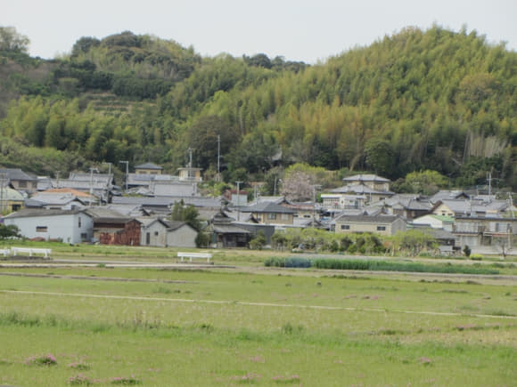 shi-10454