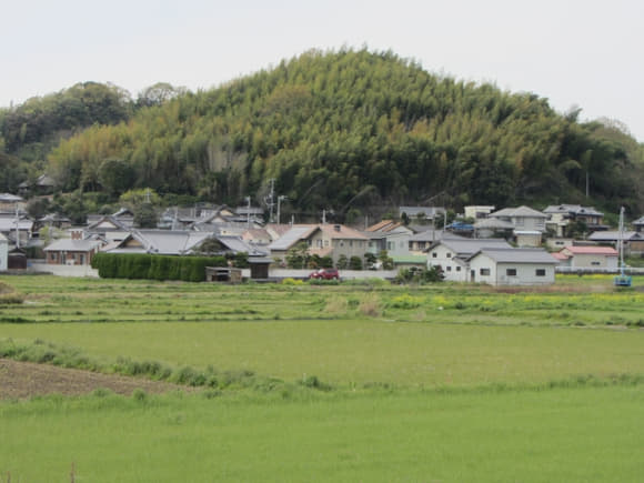 shi-10457