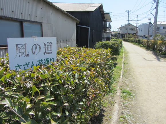 shi-02680