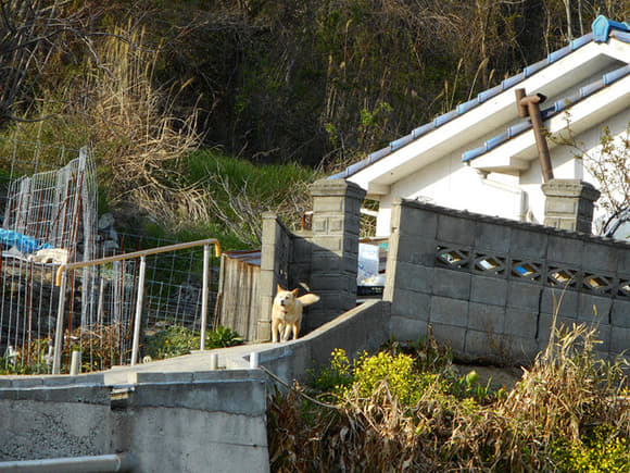 DSCN5439