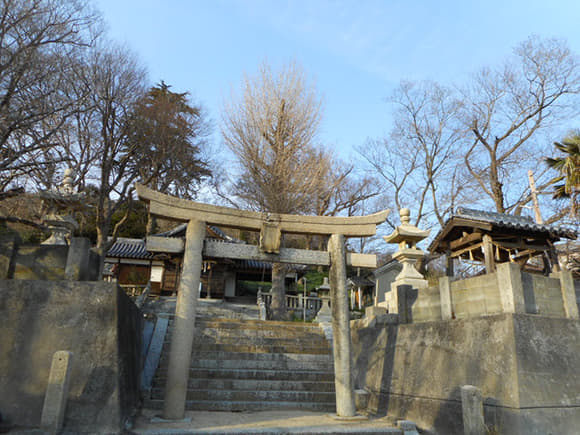 DSCN5446