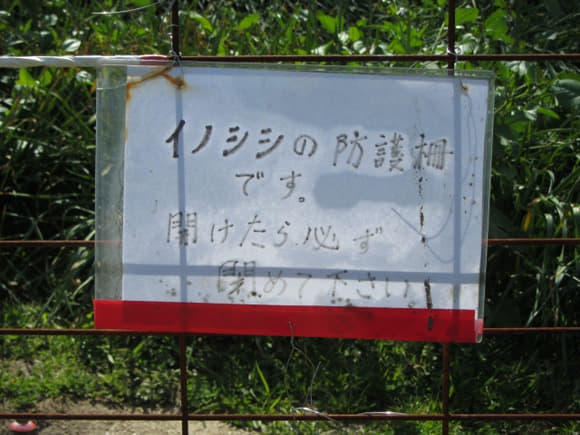 shi-03857
