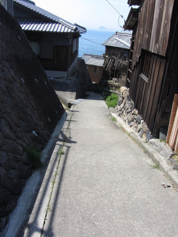 shi-03909