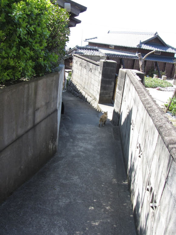 shi-03922