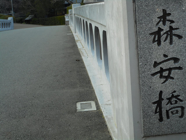 DSCN6712