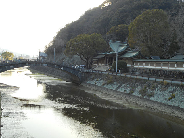 DSCN6713