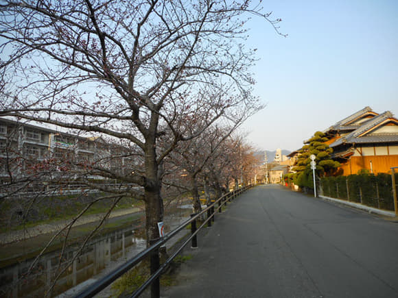 DSCN6719