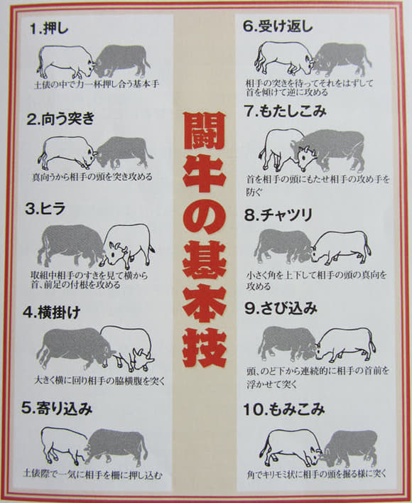kyu-sp1-0023