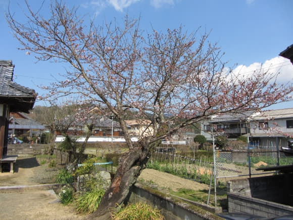 shi-05910