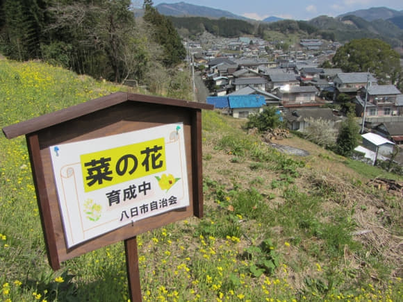 shi-06043