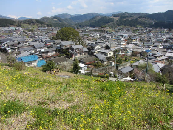 shi-06044