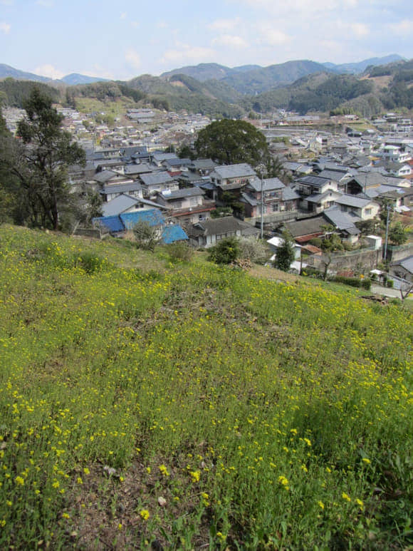 shi-06052