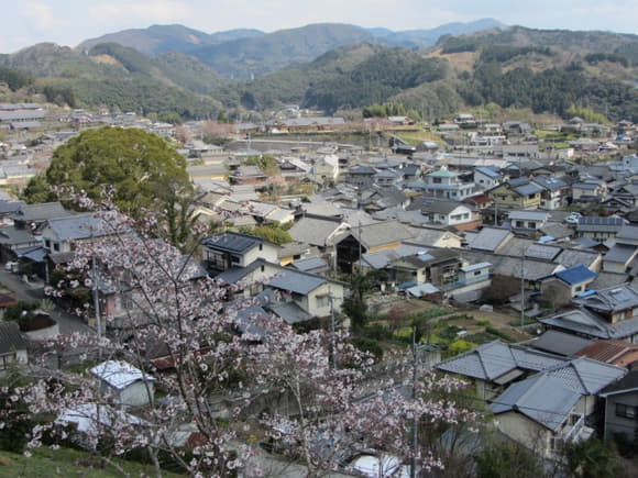 shi-06059