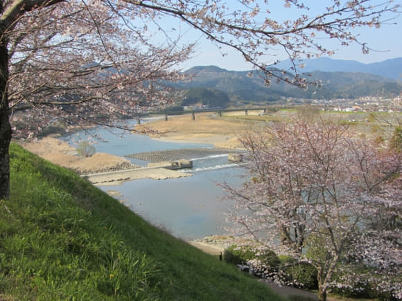 shi-06381