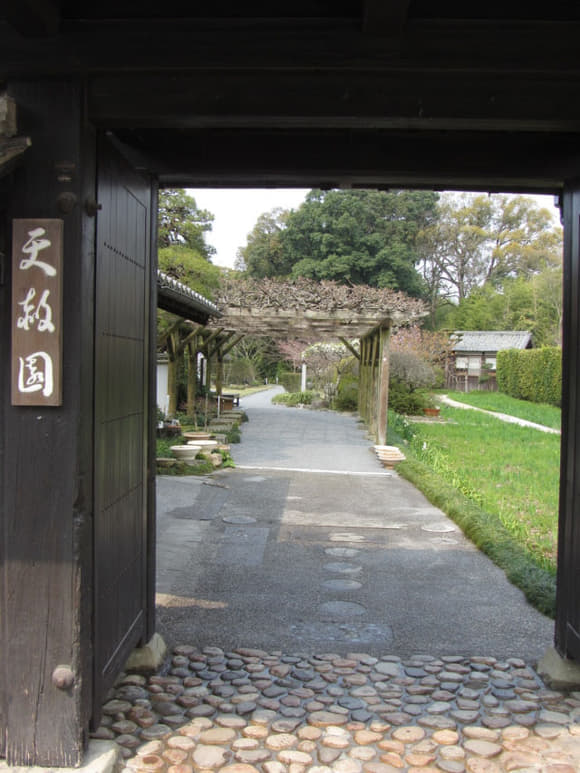 shi-06606