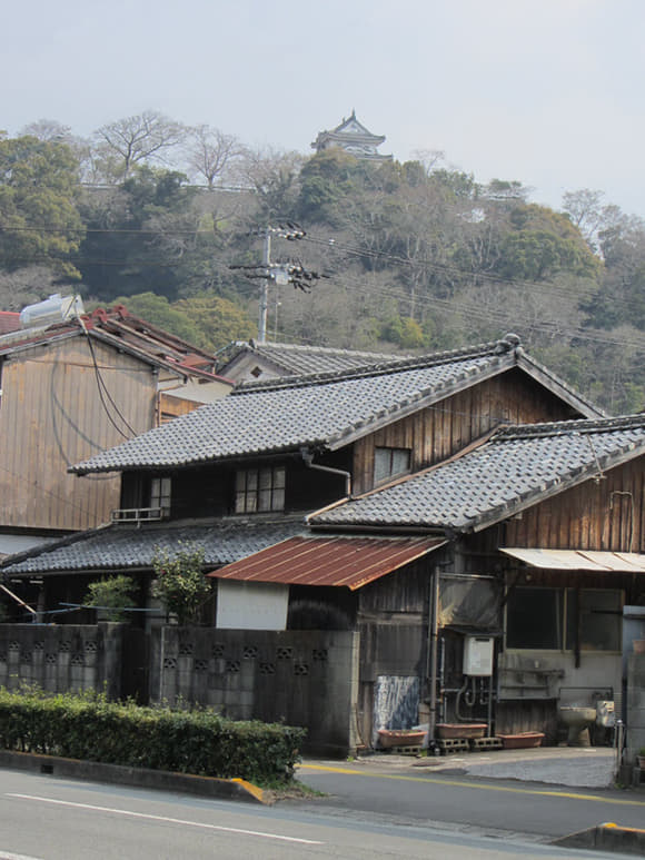 shi-06624
