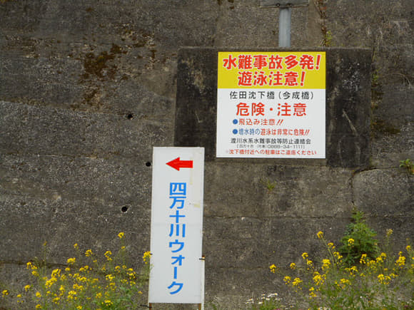 DSCN7104