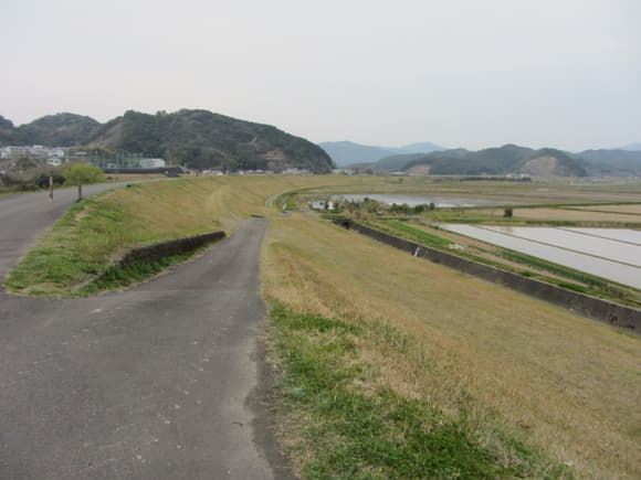 shi-07334