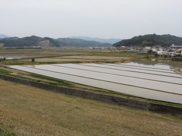 shi-07335