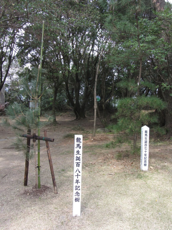 shi-07956