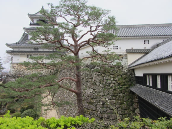shi-08085