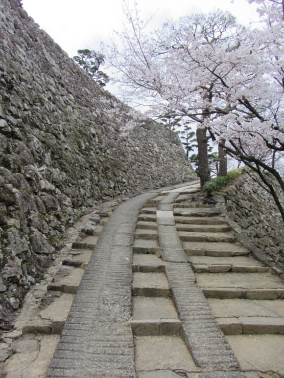 shi-08098