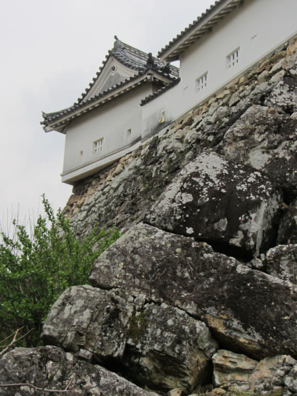 shi-08102