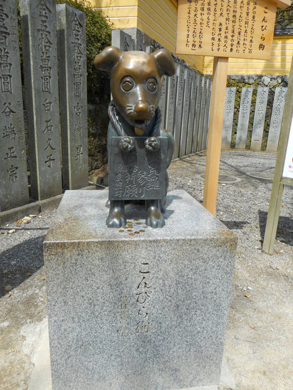 DSCN7743