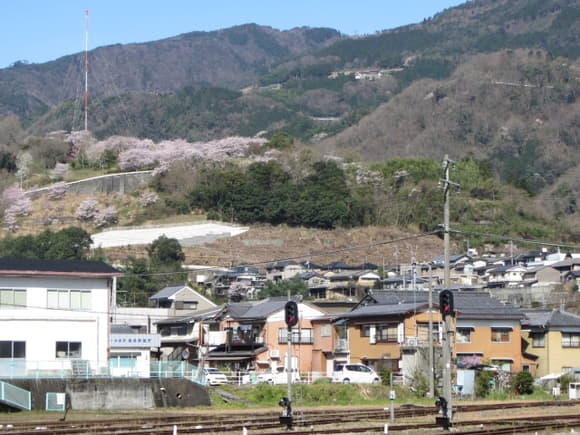 shi-08605