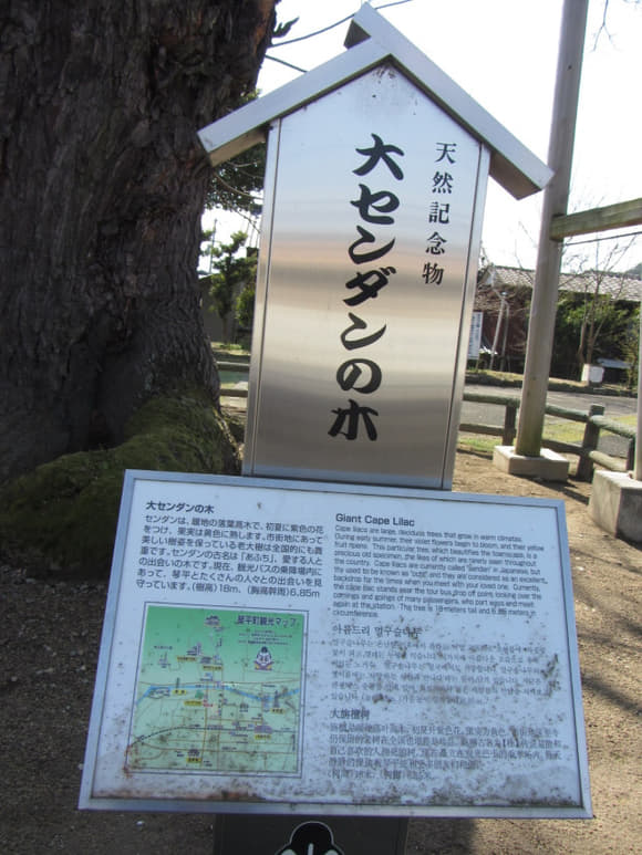 shi-08650