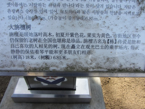 shi-08653
