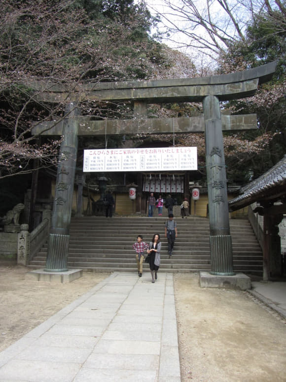 shi-08772