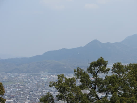 shi-08790