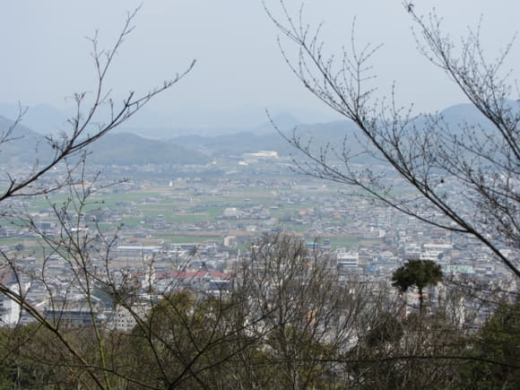 shi-08798