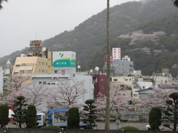 shi-09181